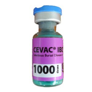 Cevac IBD L 1000D