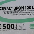 CEVAC BRON 120 L