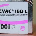 CEVAC IBD L