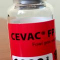 CEVAC FP L
